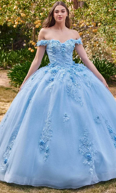 Cinderella Divine 15702 - Floral Applique Prom Ballgown